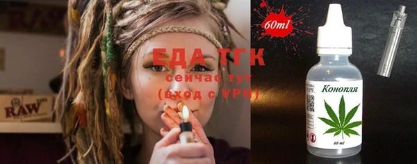 амф Верхний Тагил