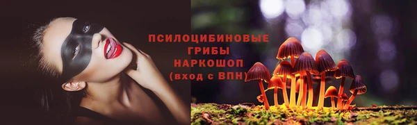 амф Верхний Тагил