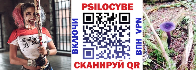 Галлюциногенные грибы Psilocybine cubensis  Купить где  Томск 